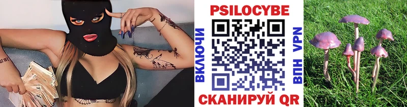 Галлюциногенные грибы прущие грибы  Купить где  Александровск-Сахалинский 
